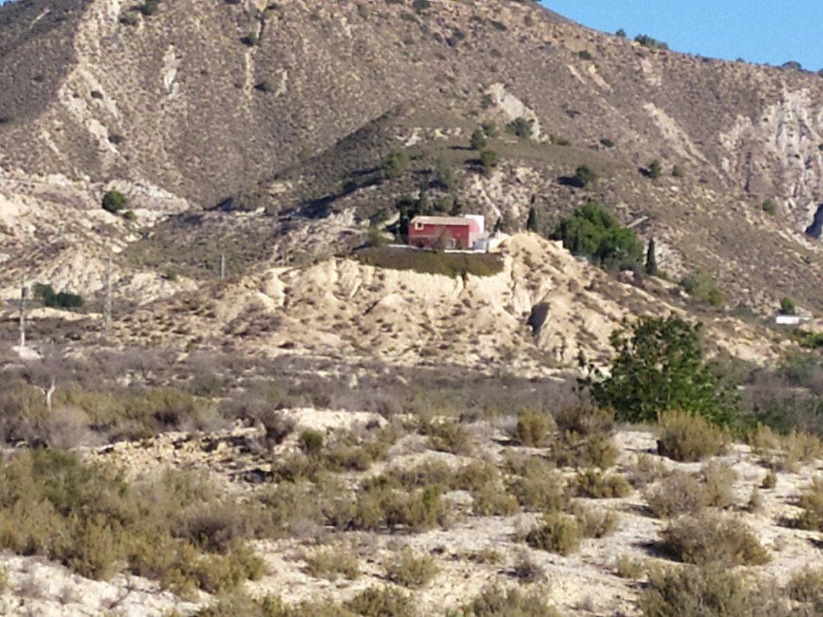 VL392326