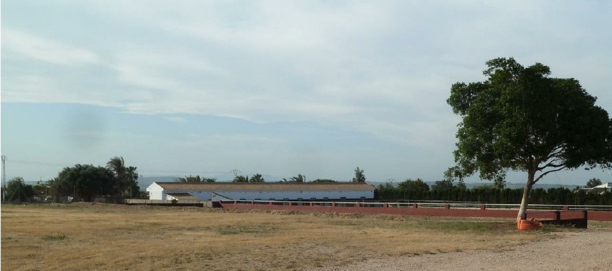 VL537981