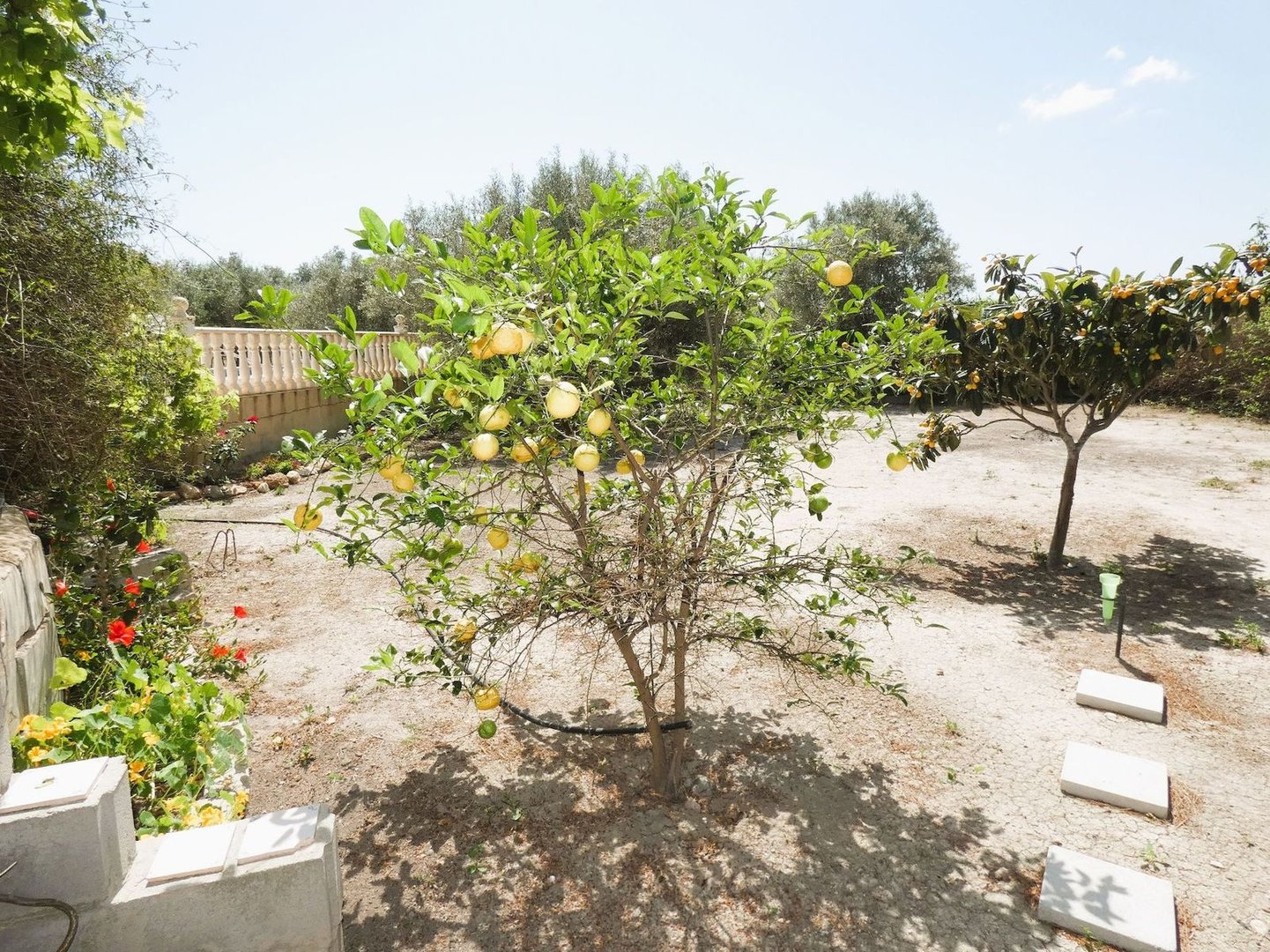 3 Bed Finca - Cortijo in Dolores