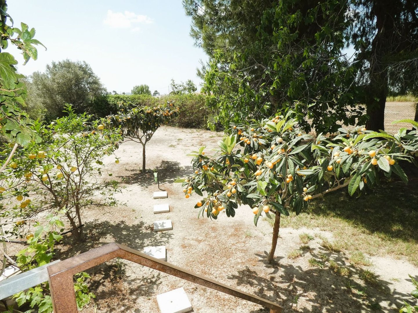 3 Bed Finca - Cortijo in Dolores
