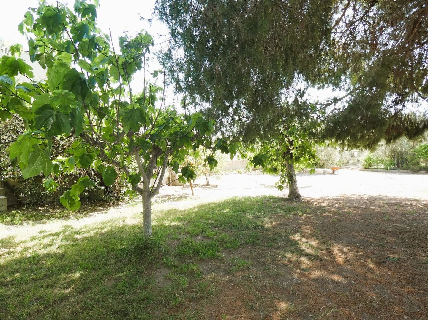 3 Bed Finca - Cortijo in Dolores