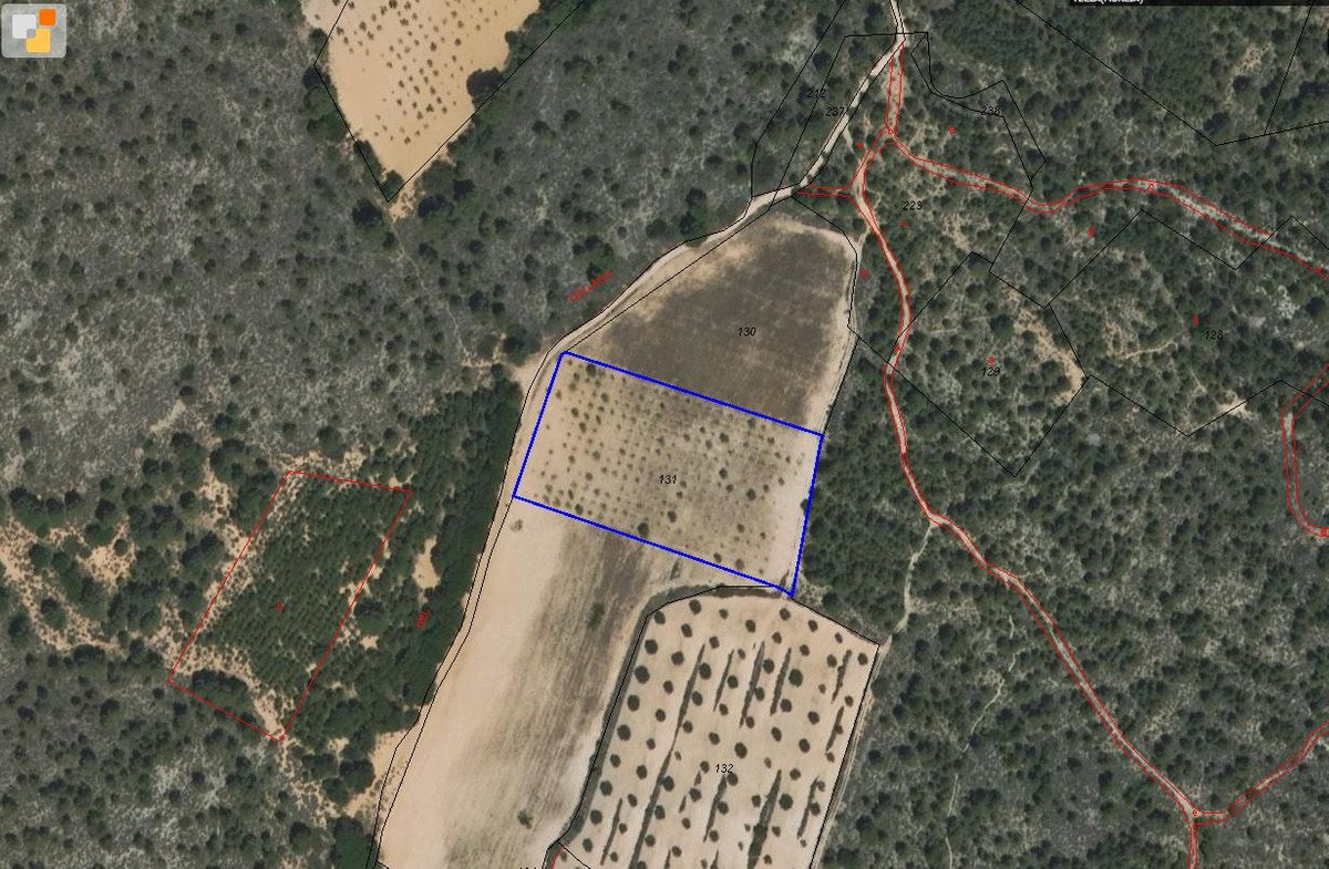 Land in Yecla