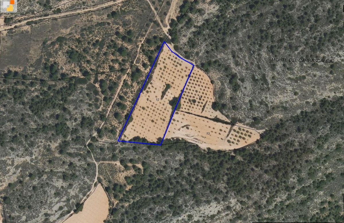 Land in Yecla
