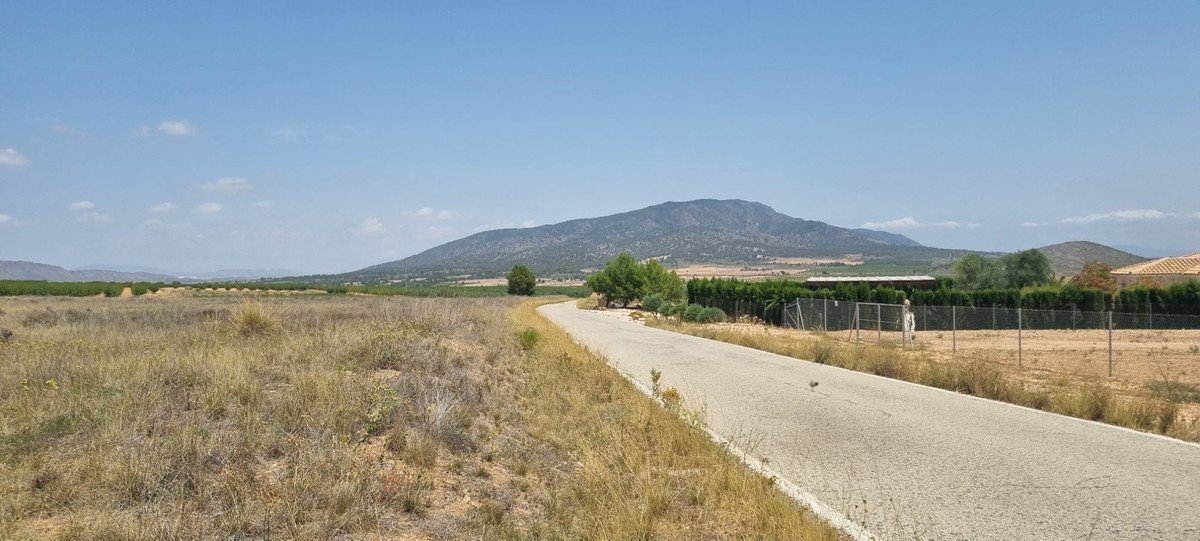 Land in Yecla
