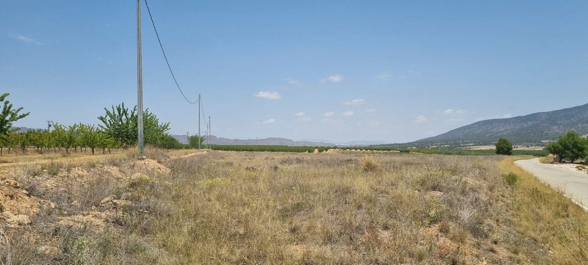 Land in Yecla