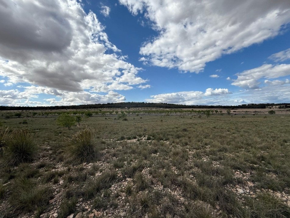 Land in Yecla