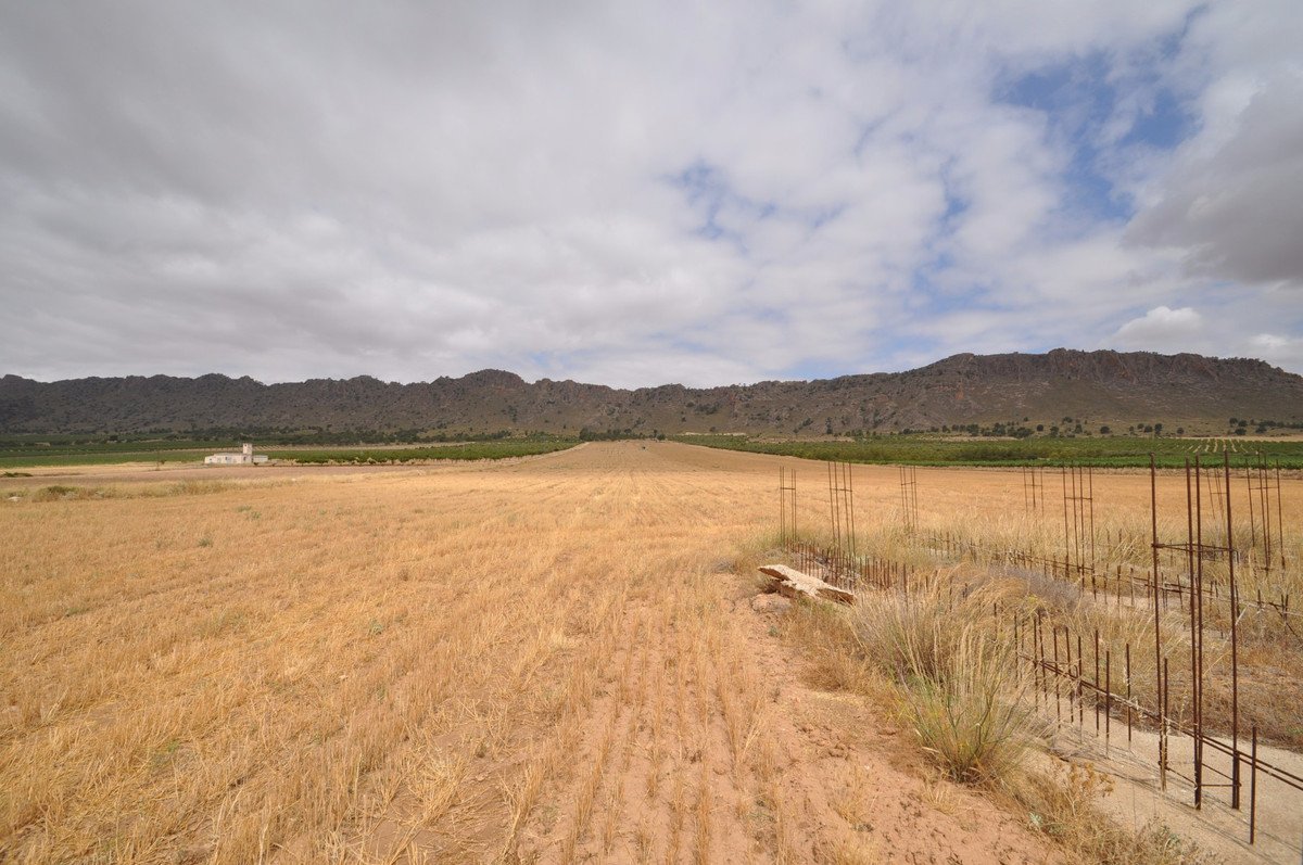 Land in Yecla