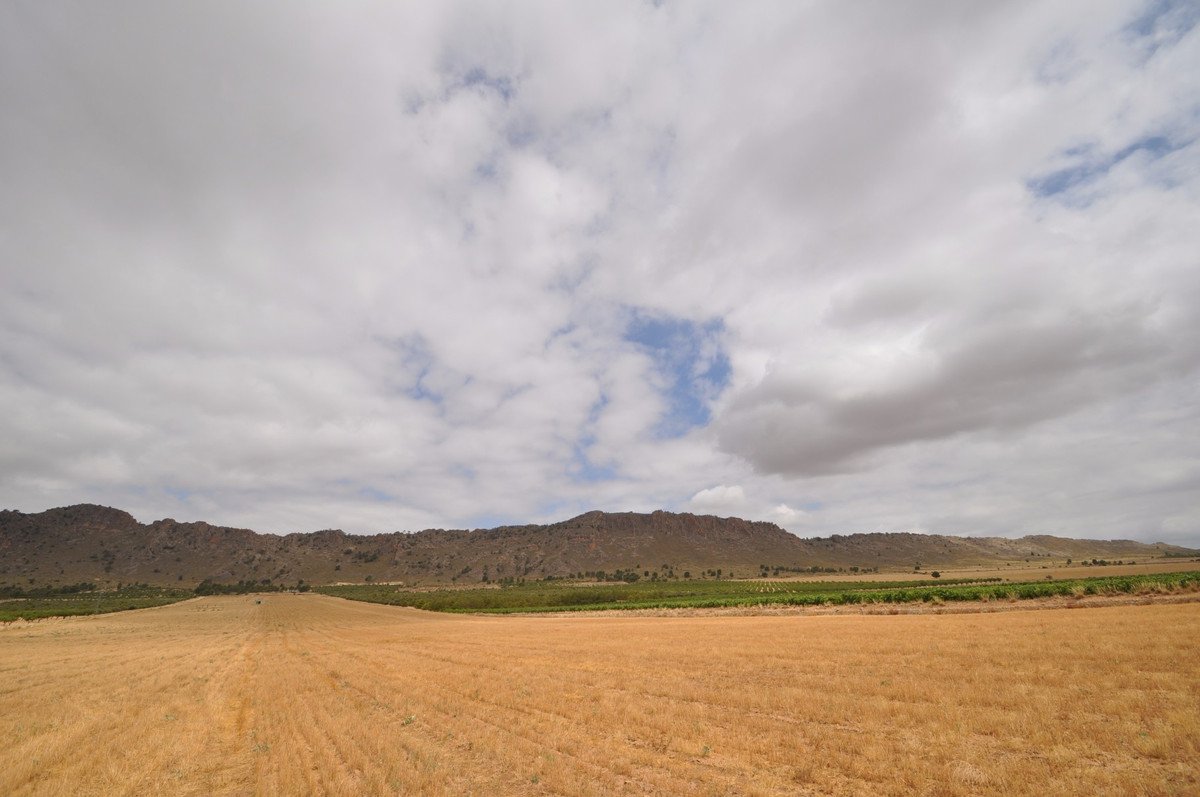 Land in Yecla
