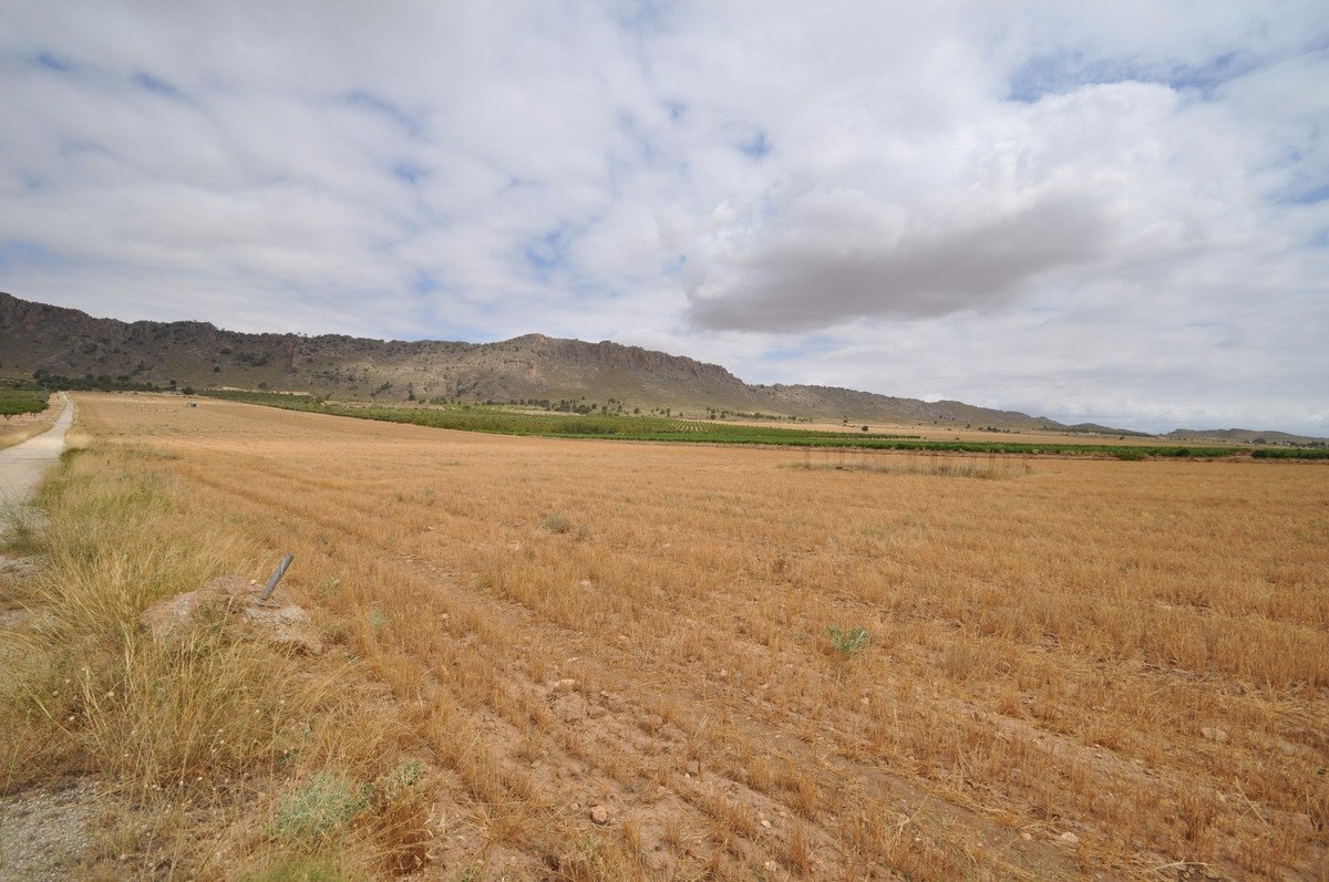 Land in Yecla
