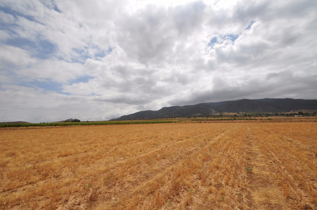 Land in Yecla