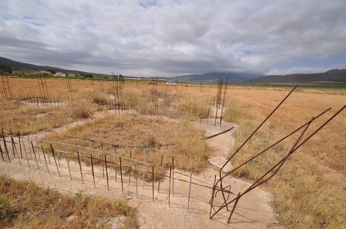 Land in Yecla