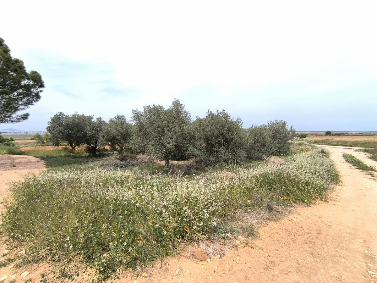 3 Bed Finca - Cortijo in Yecla