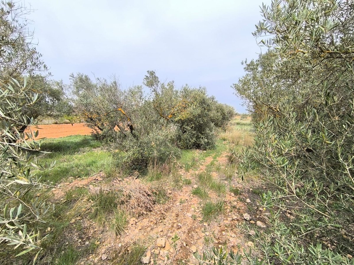3 Bed Finca - Cortijo in Yecla