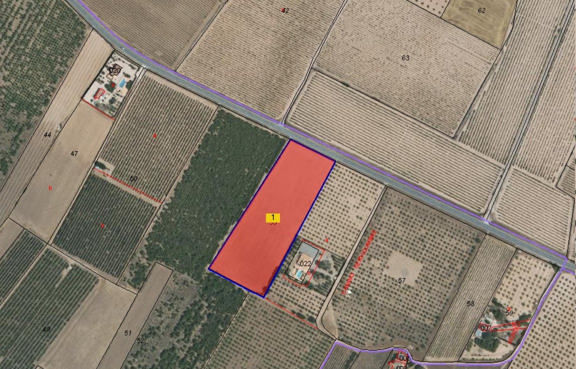 Land in Yecla