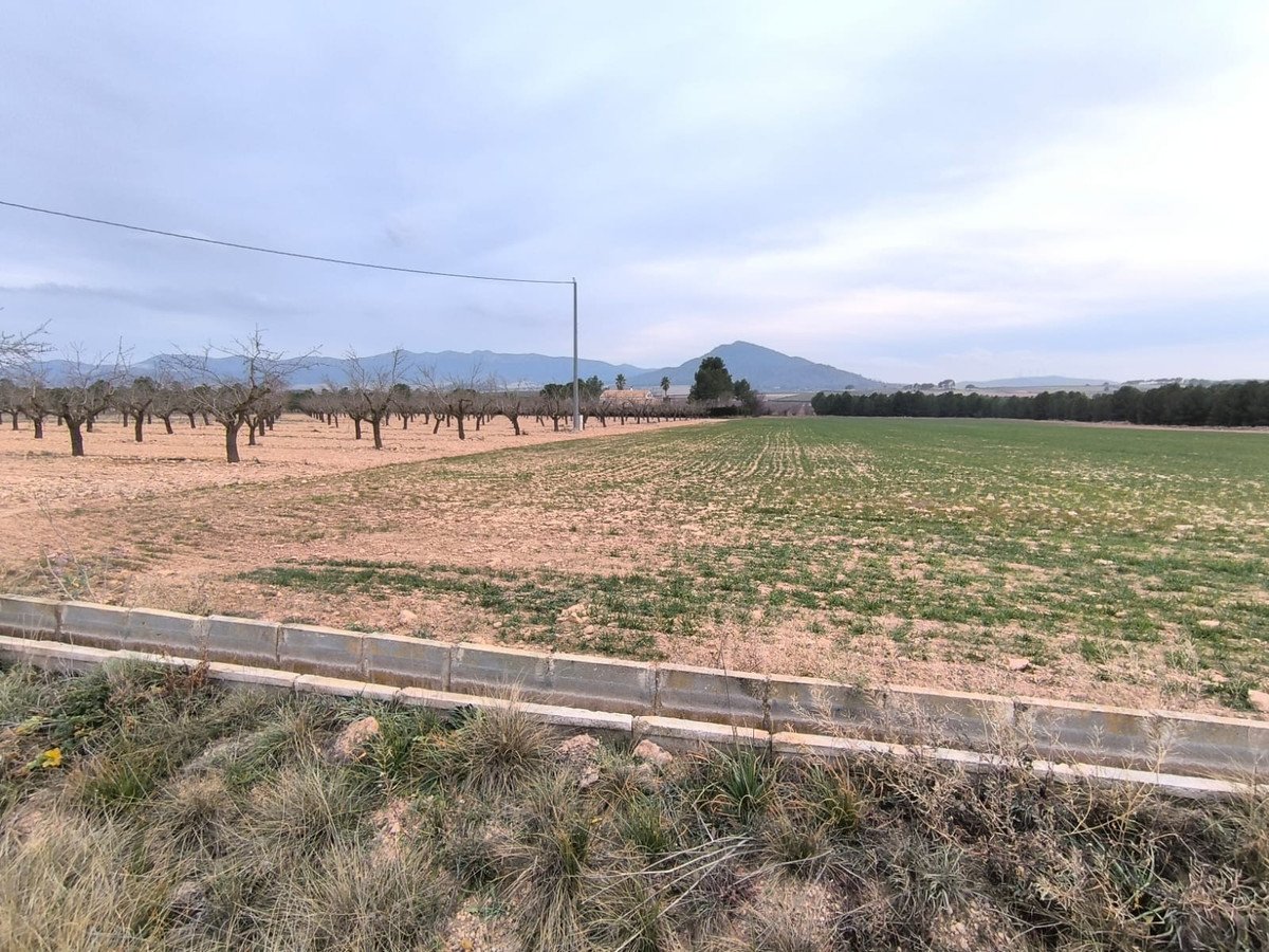 Land in Yecla