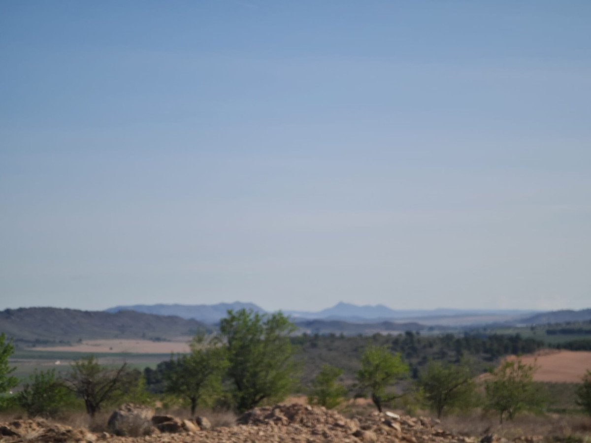 VL099174