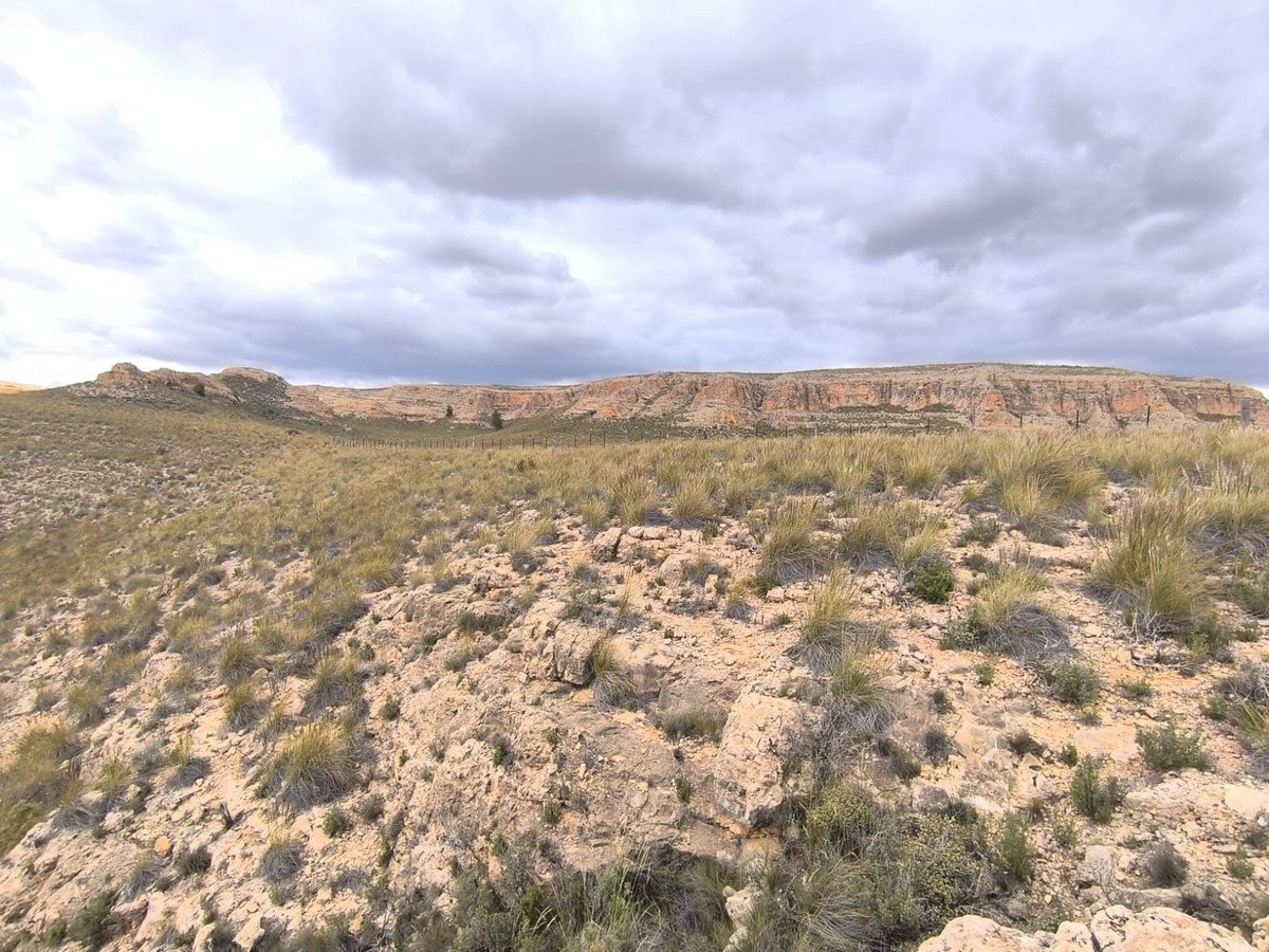 Land in Yecla