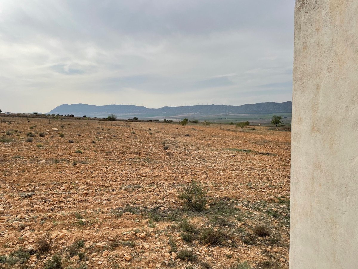 Land in Yecla