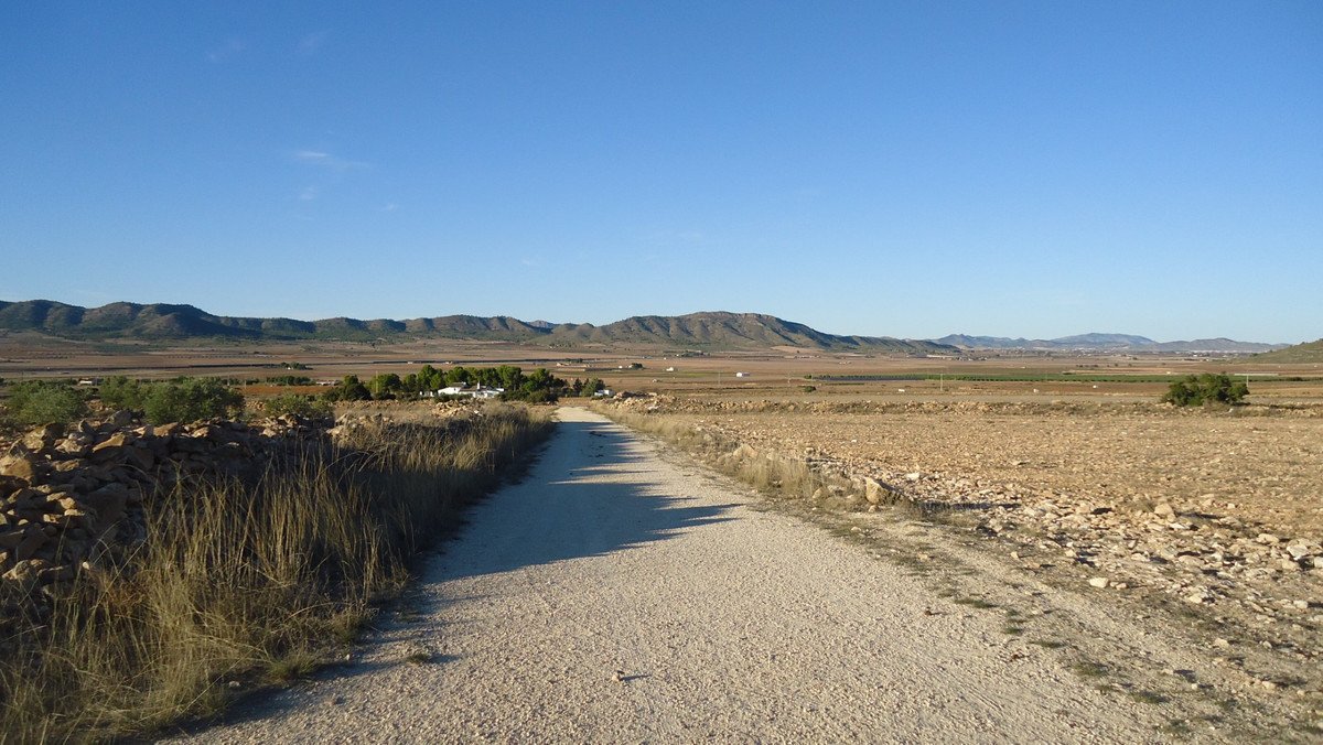 Land in Yecla