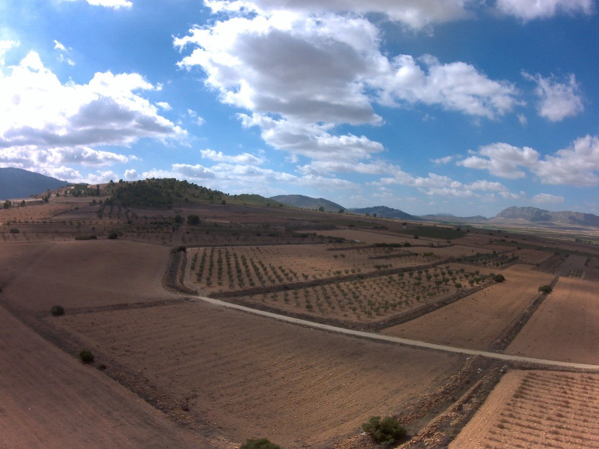 Land in Yecla