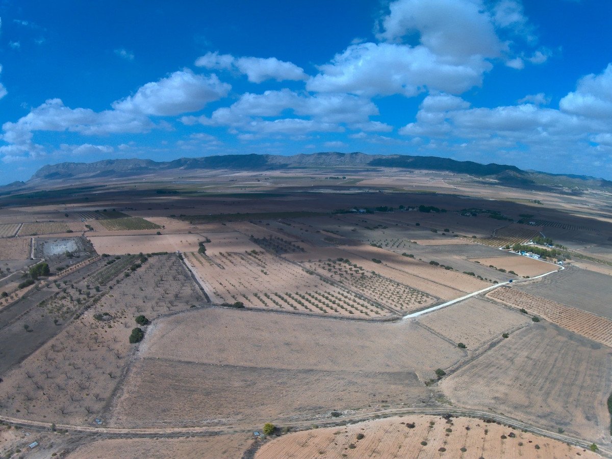 Land in Yecla