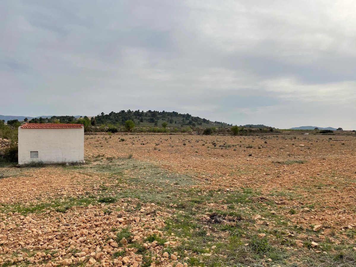 Land in Yecla