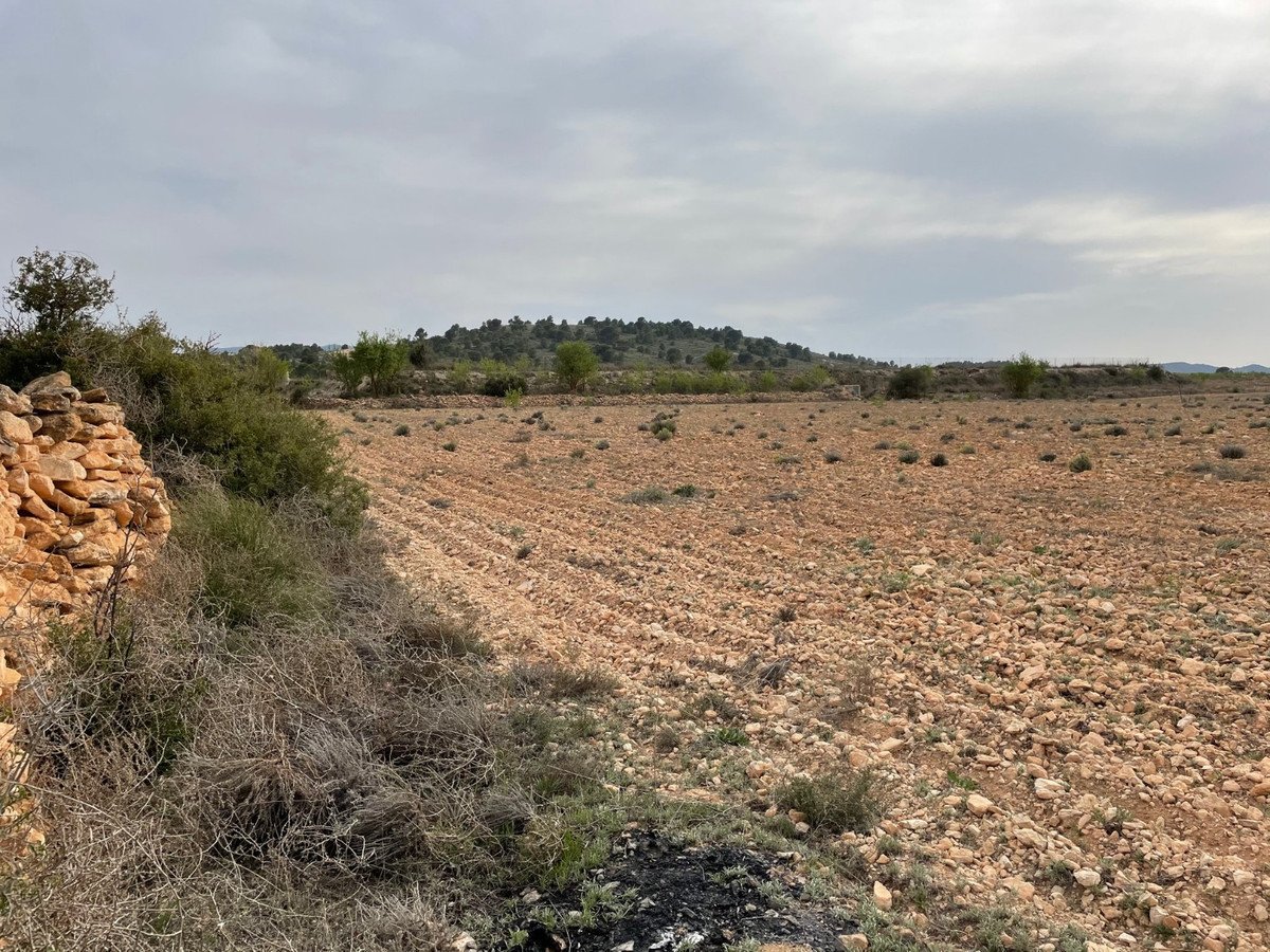Land in Yecla