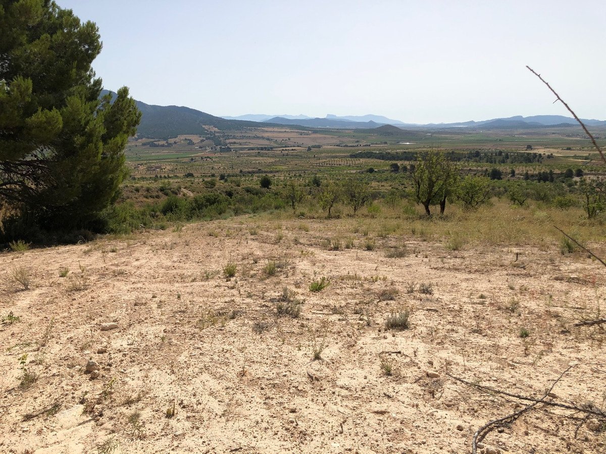 Land in Yecla