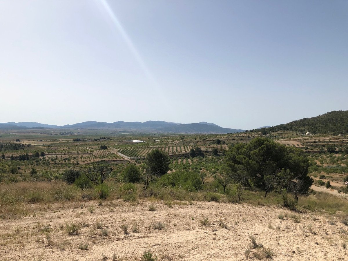 Land in Yecla