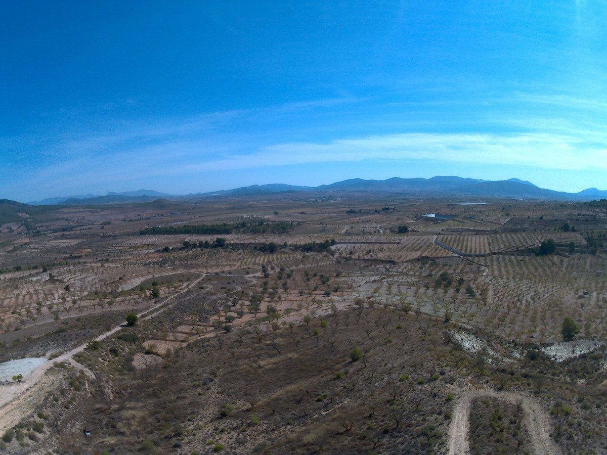 Land in Yecla