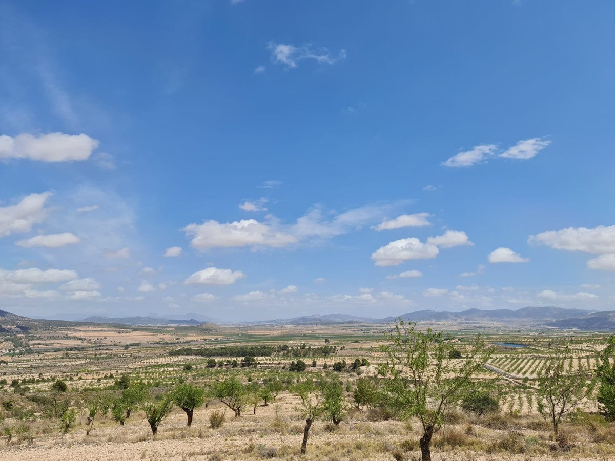 Land in Yecla