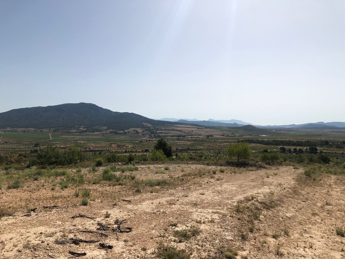 Land in Yecla
