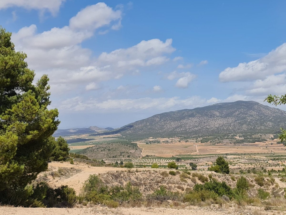 Land in Yecla