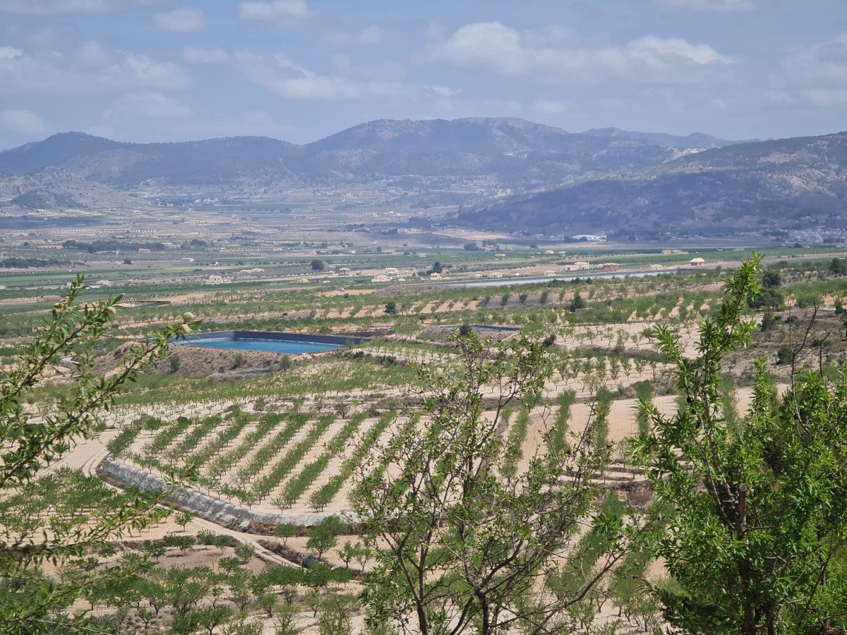 Land in Yecla