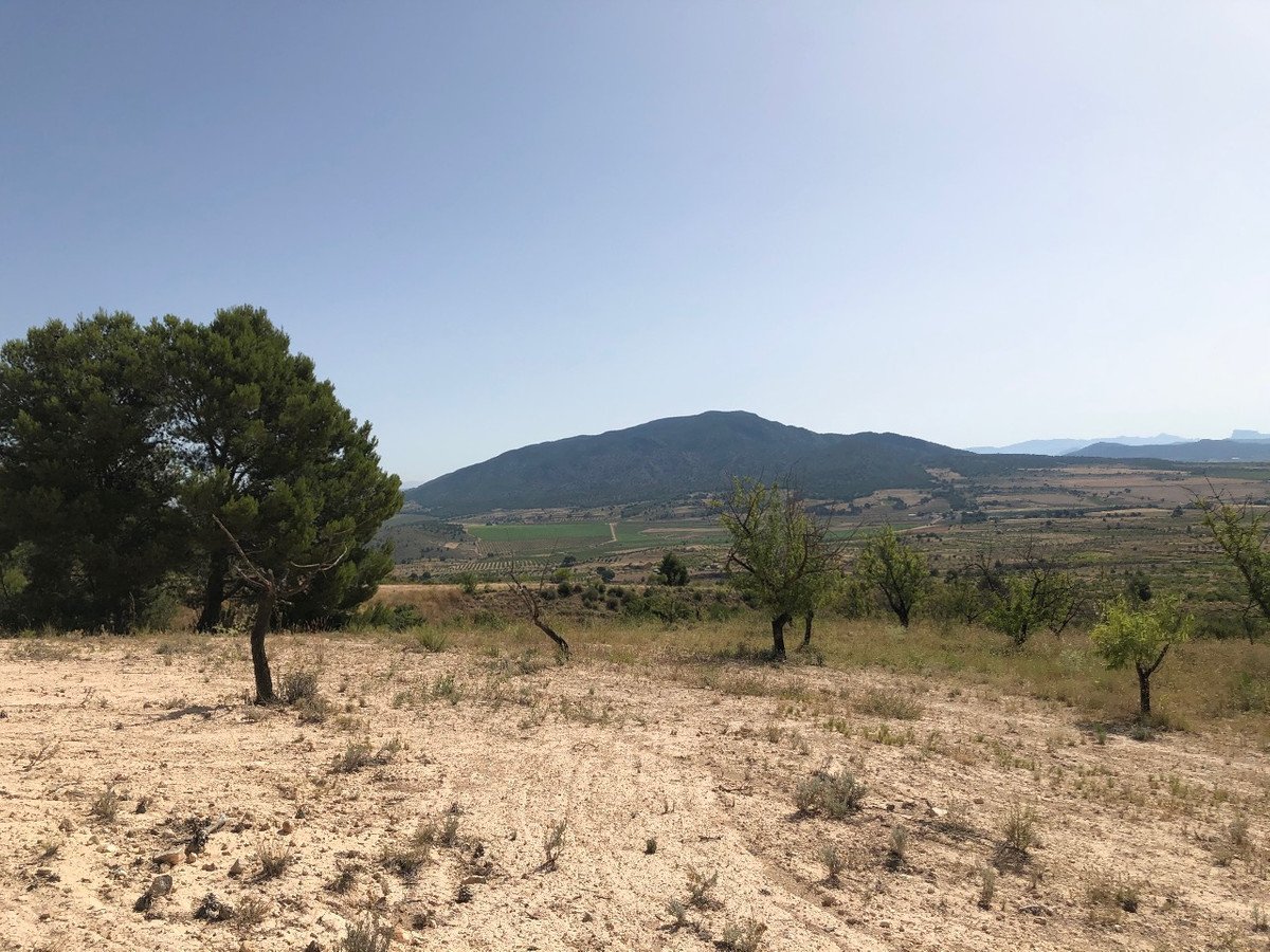 Land in Yecla