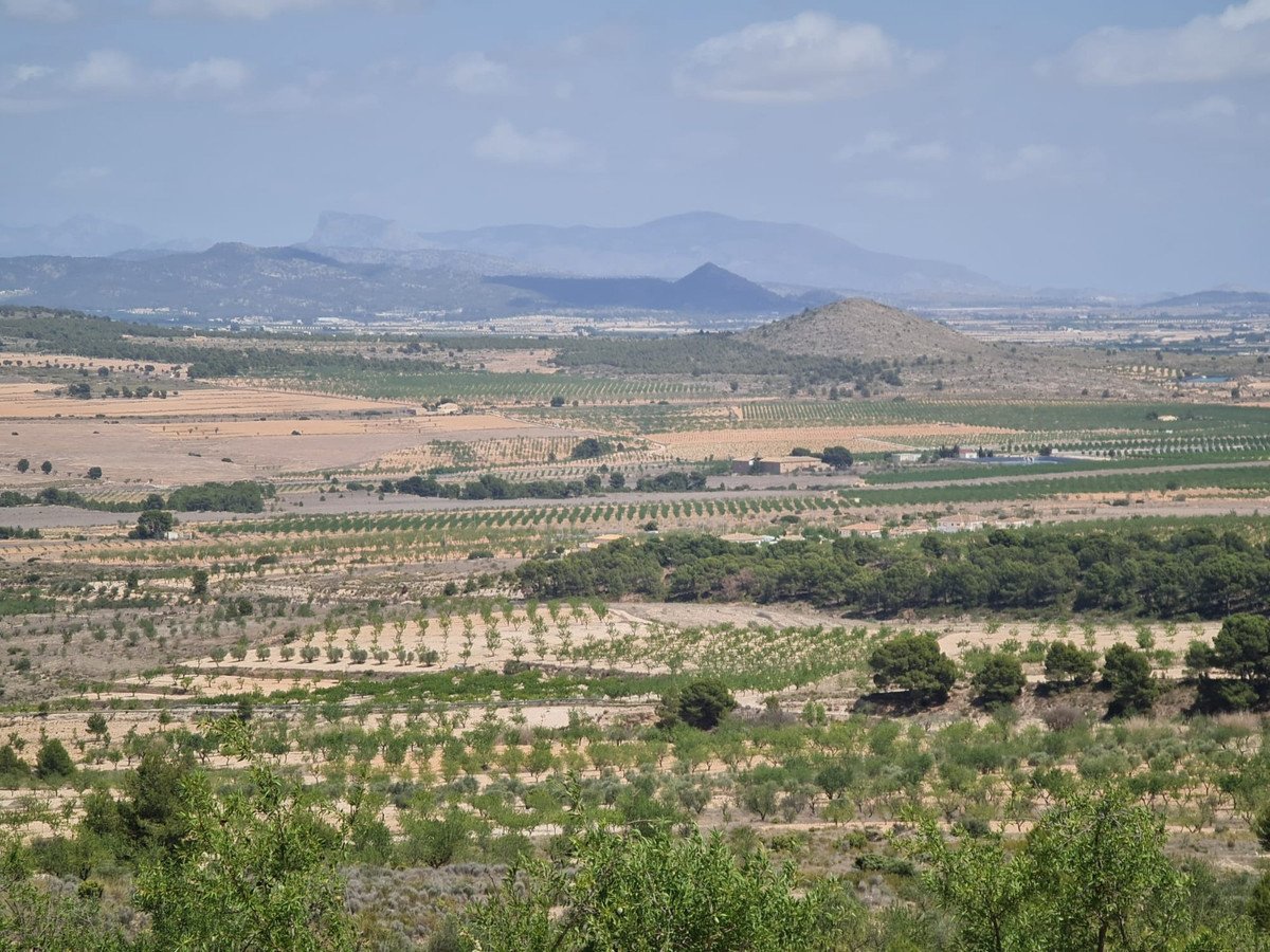 Land in Yecla