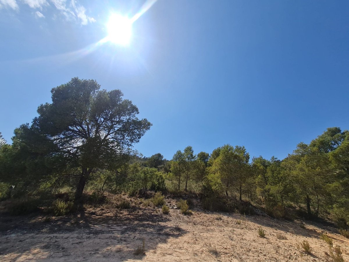 Land in Yecla
