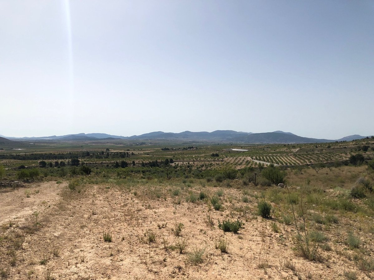 Land in Yecla