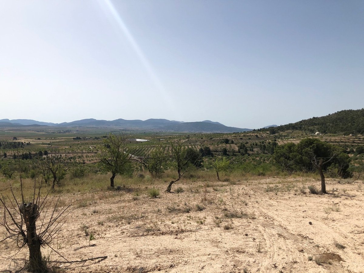 Land in Yecla