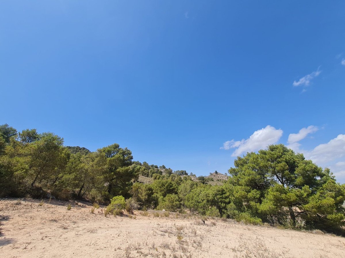 Land in Yecla