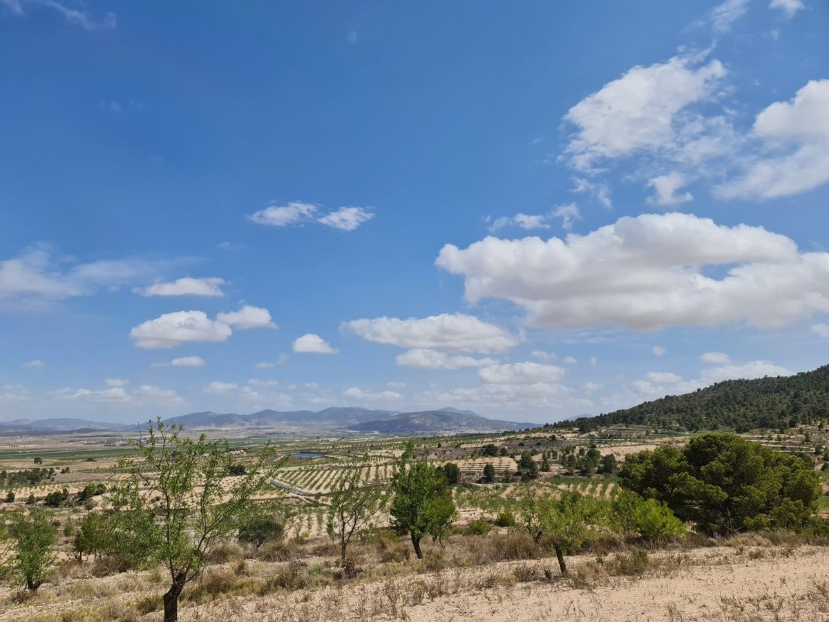Land in Yecla