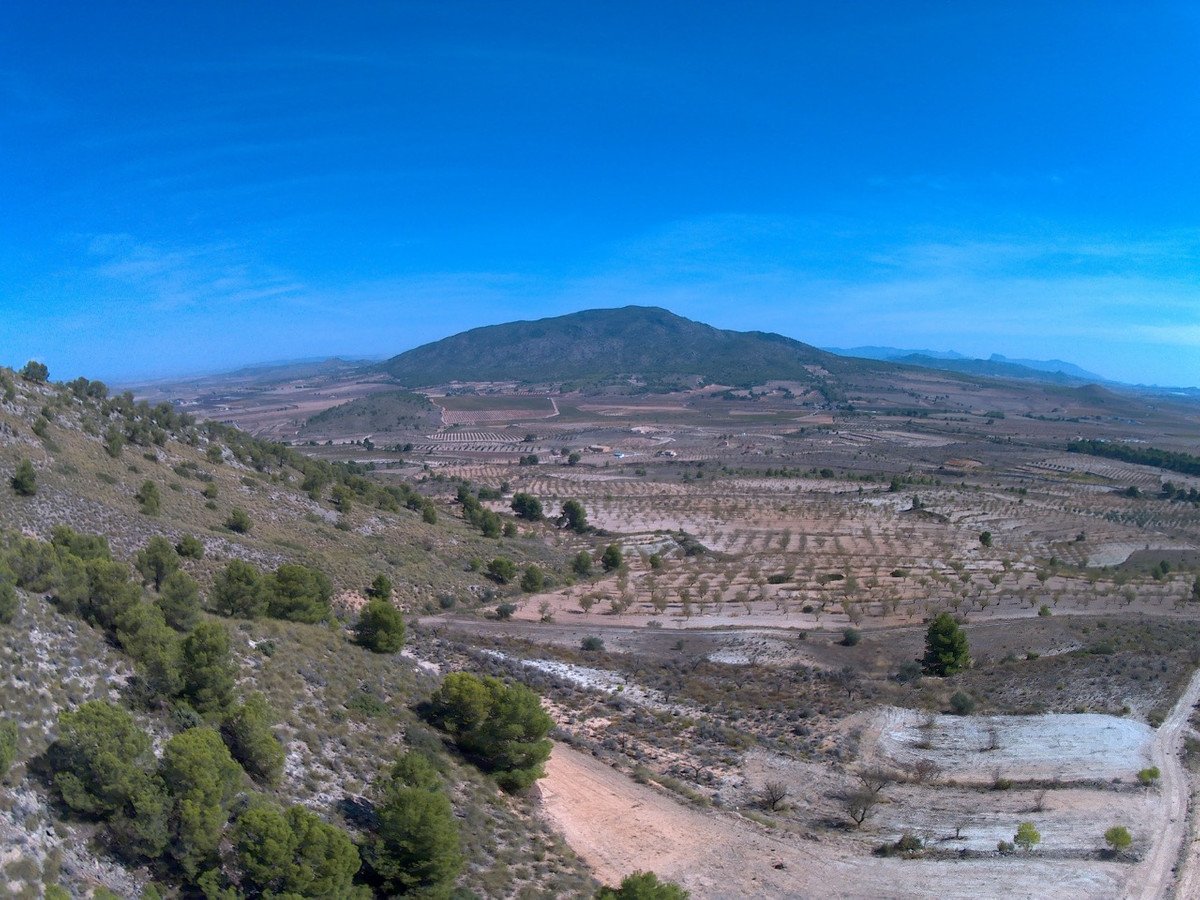 Land in Yecla