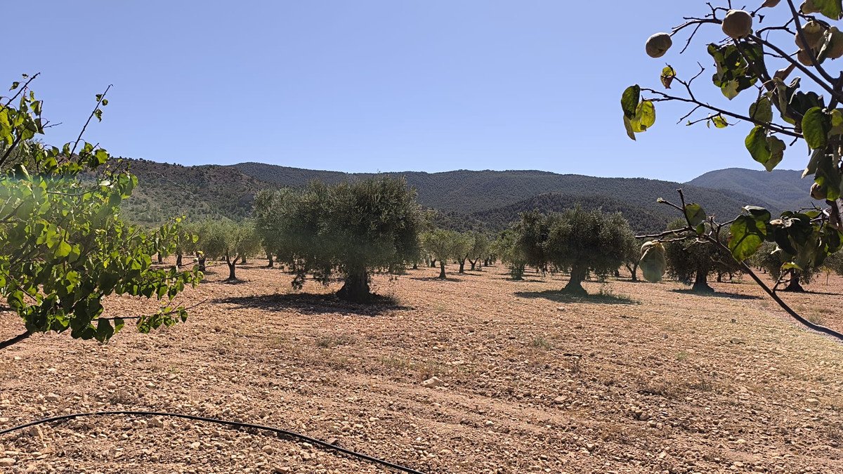 2 Bed Finca - Cortijo in Yecla