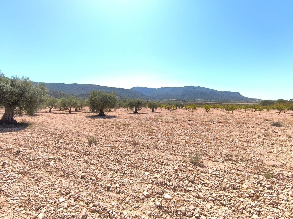2 Bed Finca - Cortijo in Yecla