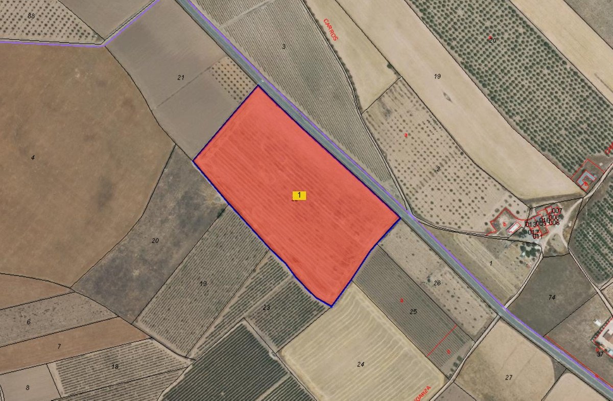 Land in Yecla