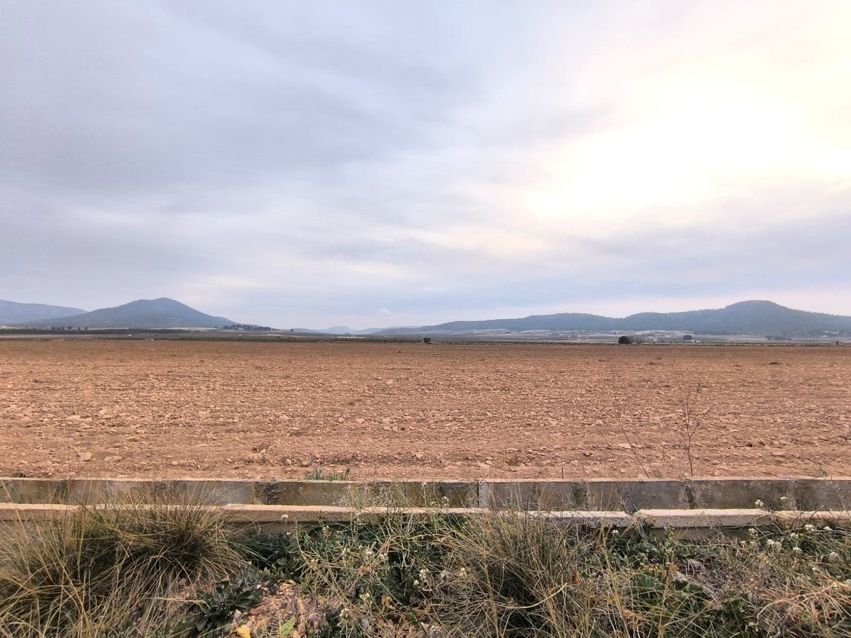 Land in Yecla