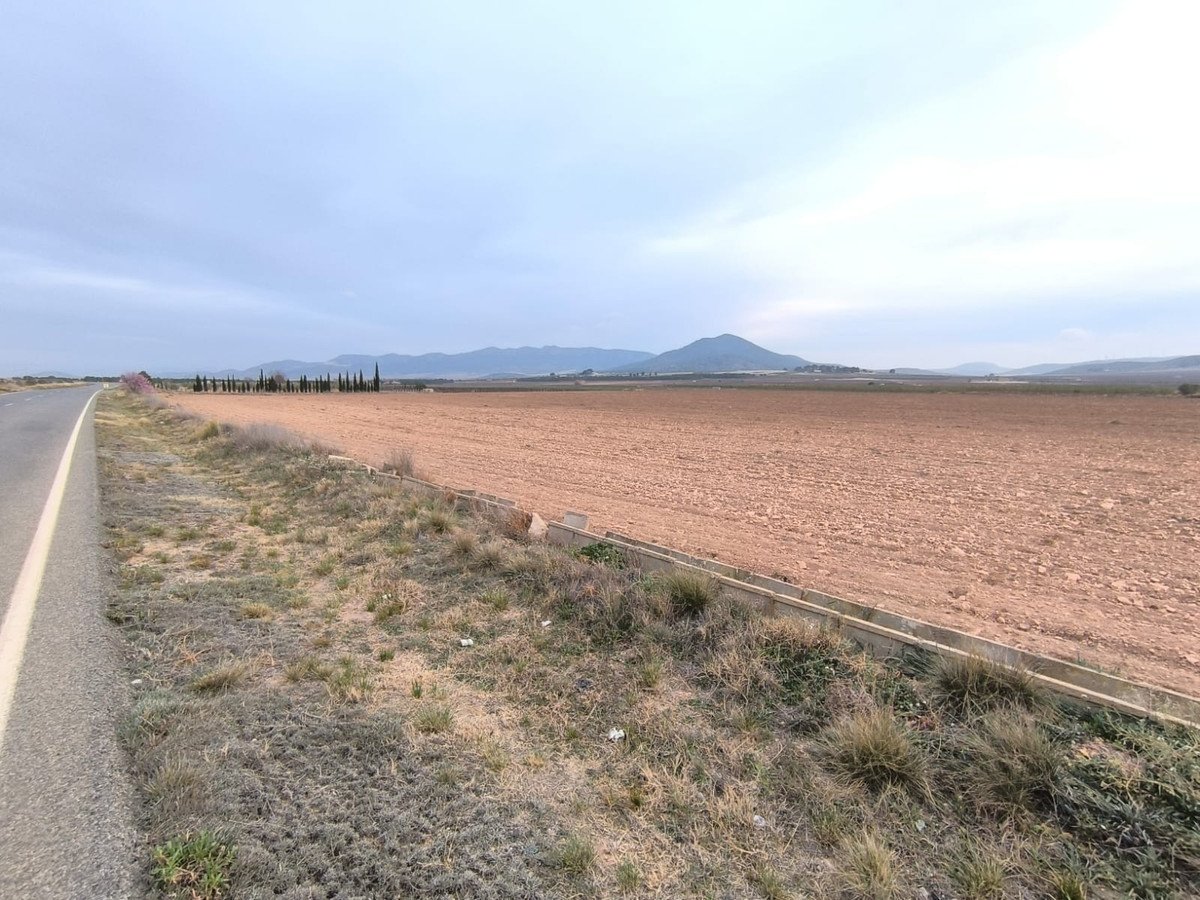 Land in Yecla