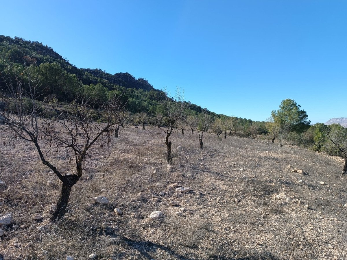 3 Bed Finca - Cortijo in Yecla