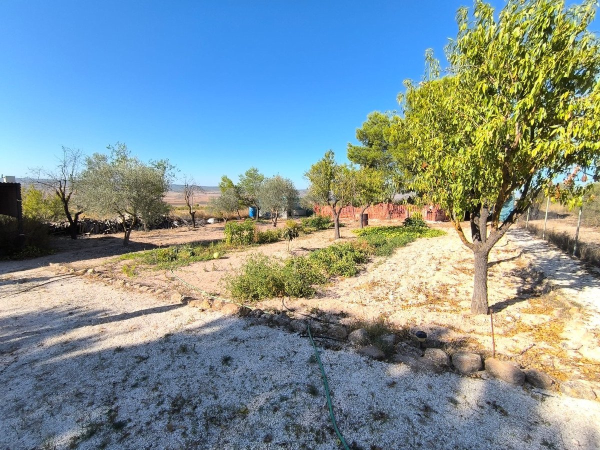 3 Bed Detached Villa in Yecla