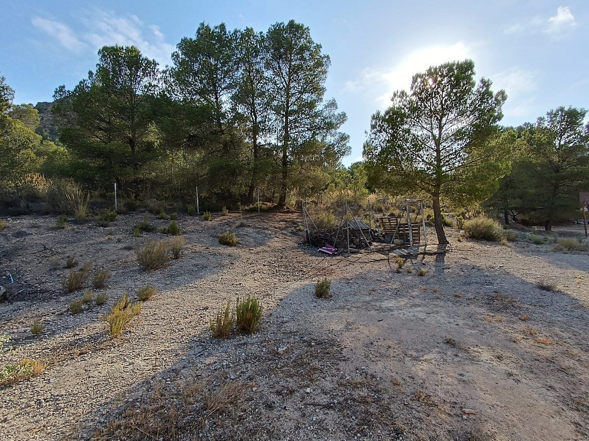 3 Bed Detached Villa in Yecla